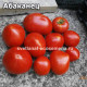 Абаканец