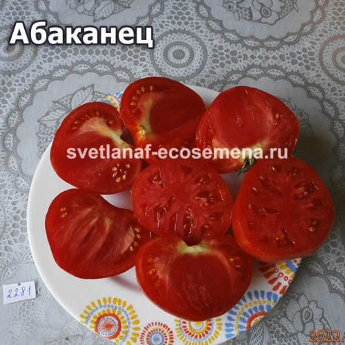Абаканец