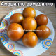 Амарилло Армадилло amarillo armadillo