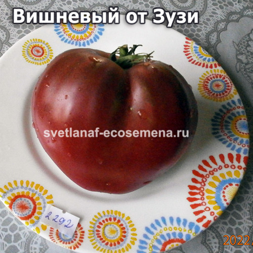 Вишневый от Зузи