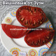 Вишневый от Зузи