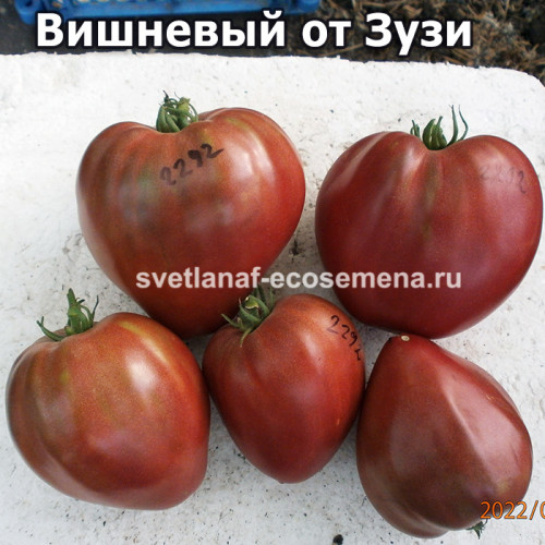 Вишневый от Зузи