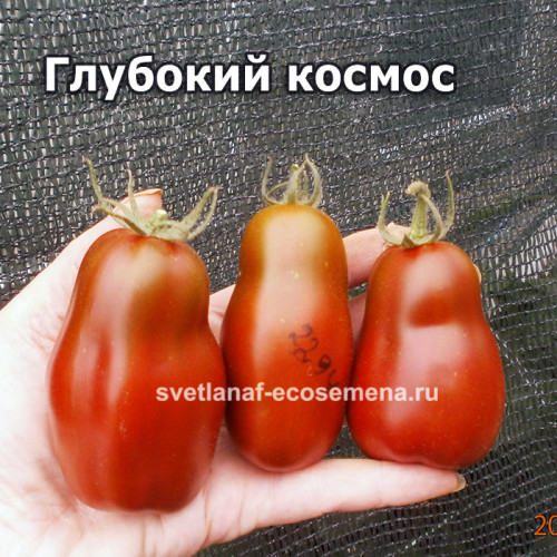 Глубокий космос, Deep Space