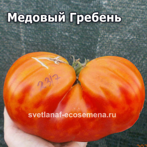 Медовый Гребень