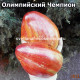 Олимпийский Чемпион