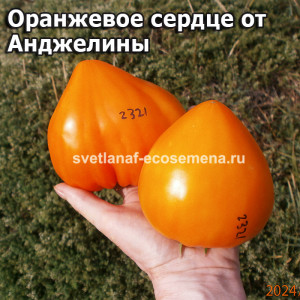 Оранжевое сердце от Анджелины (Orange heart from Angelini)