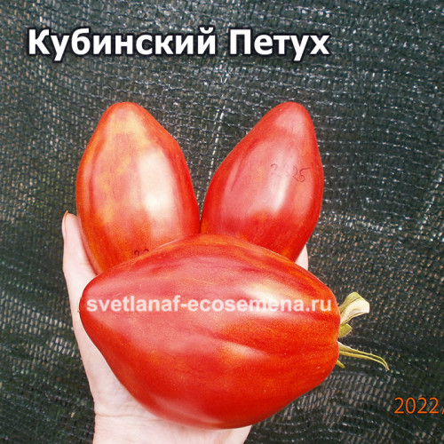 Кубинский Петух