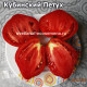 Кубинский Петух