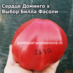 Сердце Доминго Х Выбор Билла Фасоли (Domingo Heart х Bill Bean Select)