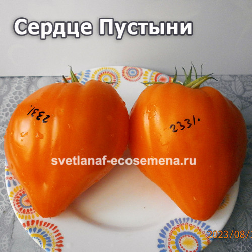 Сердце Пустыни