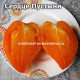 Сердце Пустыни