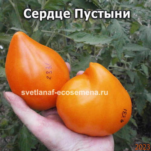 Сердце Пустыни