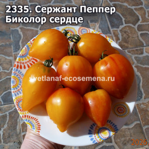 Сержант Пеппер Биколор сердце
