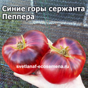 Синие горы сержанта Пеппера (sergeant pepper's blue mountains)