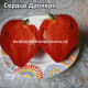 Cuore di Dronero (Сердце Дронеро)