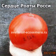 Cuore di Roata Rossi (Сердце Роаты Росси)