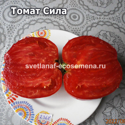 Della Sila (Томат Сила)