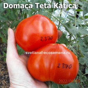 Домашнее бычье сердце  тети Катики