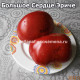 Eriche Grosse Herz (Большое Сердце Эриче)