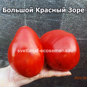 Zore’s Big Red  (Большой Красный Зоре)