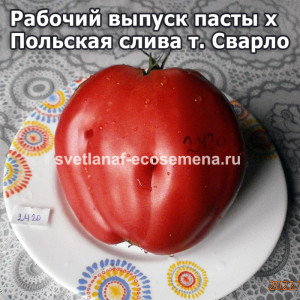Рабочий выпуск пасты х  Польская слива тети Сварло