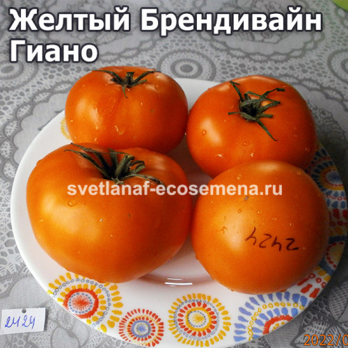 Giallo Marchi Giano (Желтый Брендивайн Гиано)