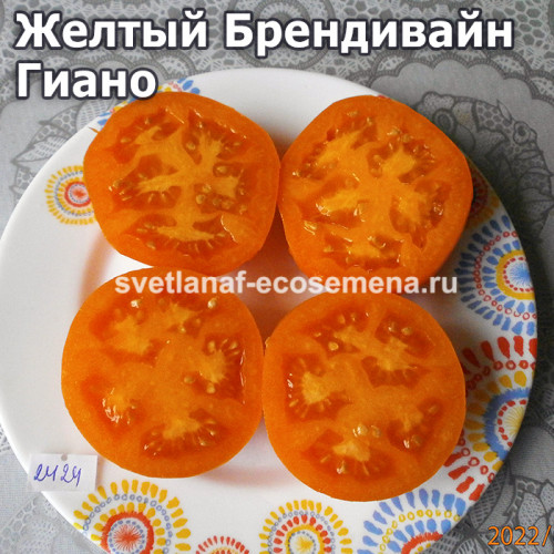 Giallo Marchi Giano (Желтый Брендивайн Гиано)