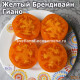 Giallo Marchi Giano (Желтый Брендивайн Гиано)