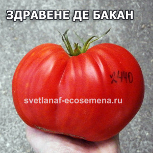 Здравене де бакан (Zdravene de bacan)