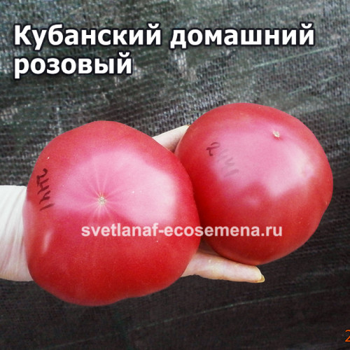 Кубанский домашний розовый