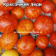 Красочная леди, Татуированная леди, Painted lady