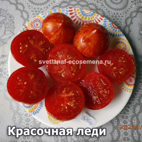 Красочная леди, Татуированная леди, Painted lady