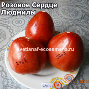 Розовое Сердце Людмилы