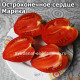 Marek’s Pointy Heart (Остроконечное сердце Марека)