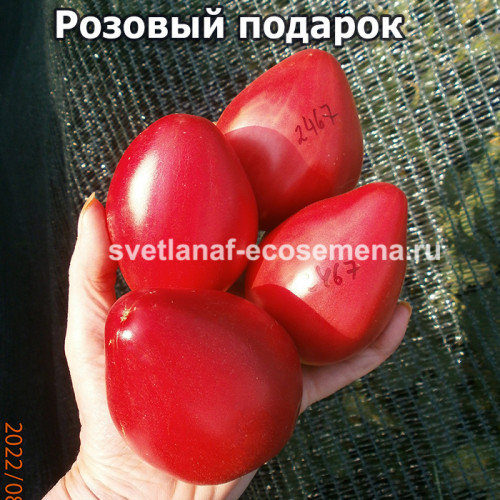 Розовый подарок