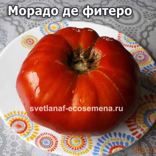 Morado de fitero (Морадо де фитеро)