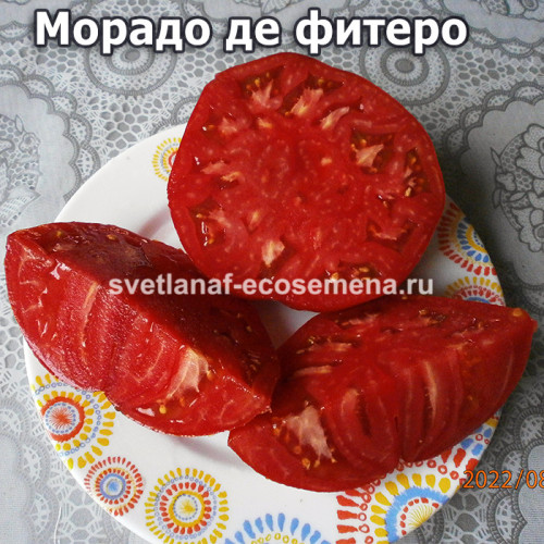 Morado de fitero (Морадо де фитеро)