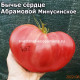 Бычье сердце Абрамовой Минусинское