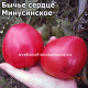 Бычье сердце Минусинское от Щербининой