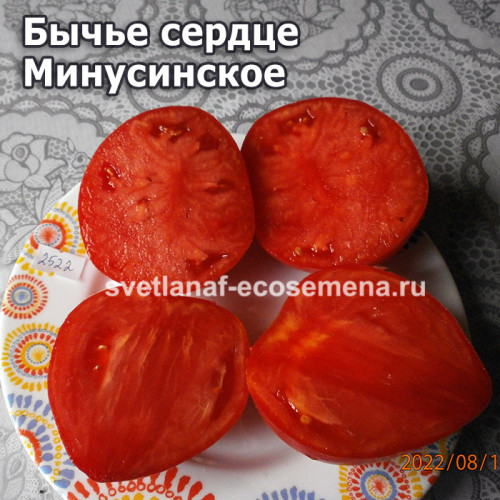 Бычье сердце Минусинское от Щербининой