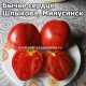 Бычье сердце Шлыкова Минусинское