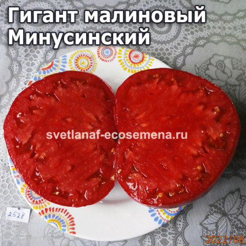 Гигант малиновый Минусинский