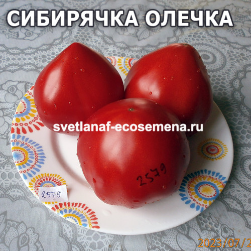 Сибирячка Олечка