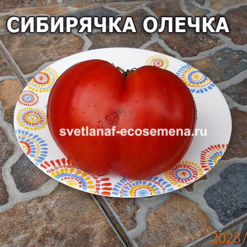Сибирячка Олечка