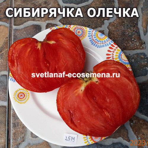 Сибирячка Олечка