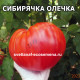Сибирячка Олечка