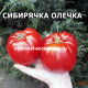 Сибирячка Олечка