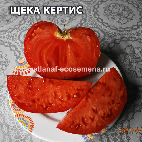 Щека Кертис (Curtis Cheek)