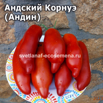 Андский Корнуэ (Andine Cornue)