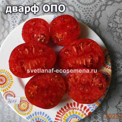 Гном ОПО (dwarf OPO)